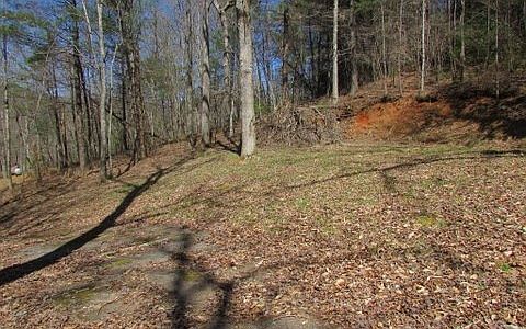 2nd image of 4311 White Oak Dr