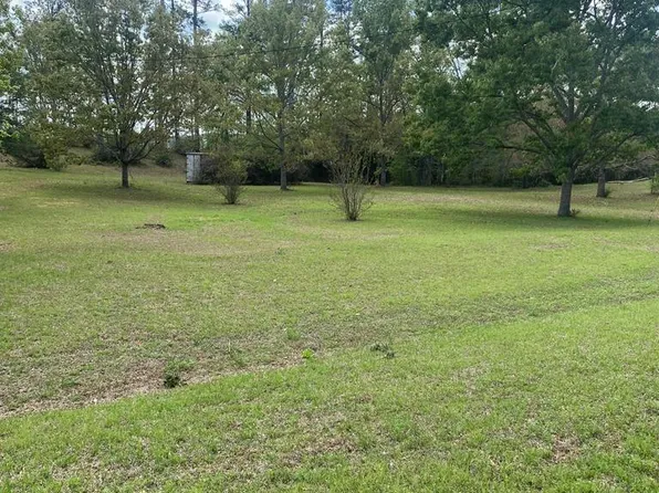 0 County Road 1165, Troy, AL 36079