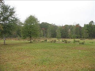 2nd image of 287 Hugh Dr
