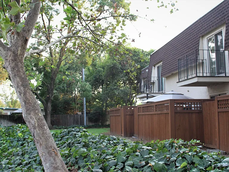 Cascade Davis LLC — Photo 35