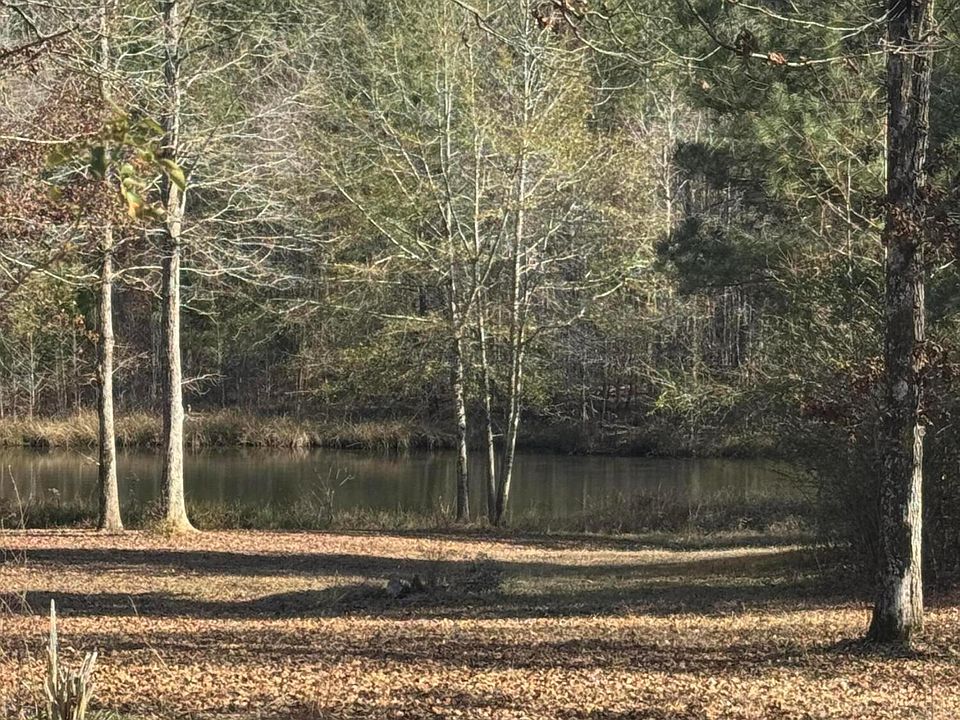 2nd image of 619 Miller Rd