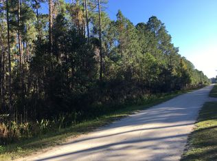 395 Spring Forest Dr, New Smyrna Beach, FL 32168