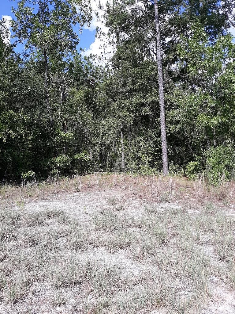 Lot 1 NW 17th Ct, Bell, FL 32619 Zillow