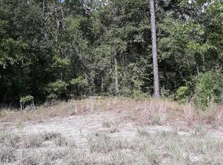 LOT 1 NW 17th Ct, Bell, FL 32619