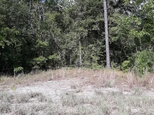 Lot 1 NW 17th Ct, Bell, FL 32619