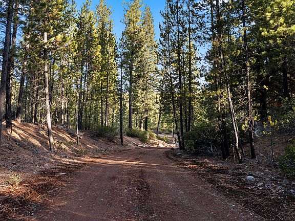 3rd image of 61567 Bearwallow Rd