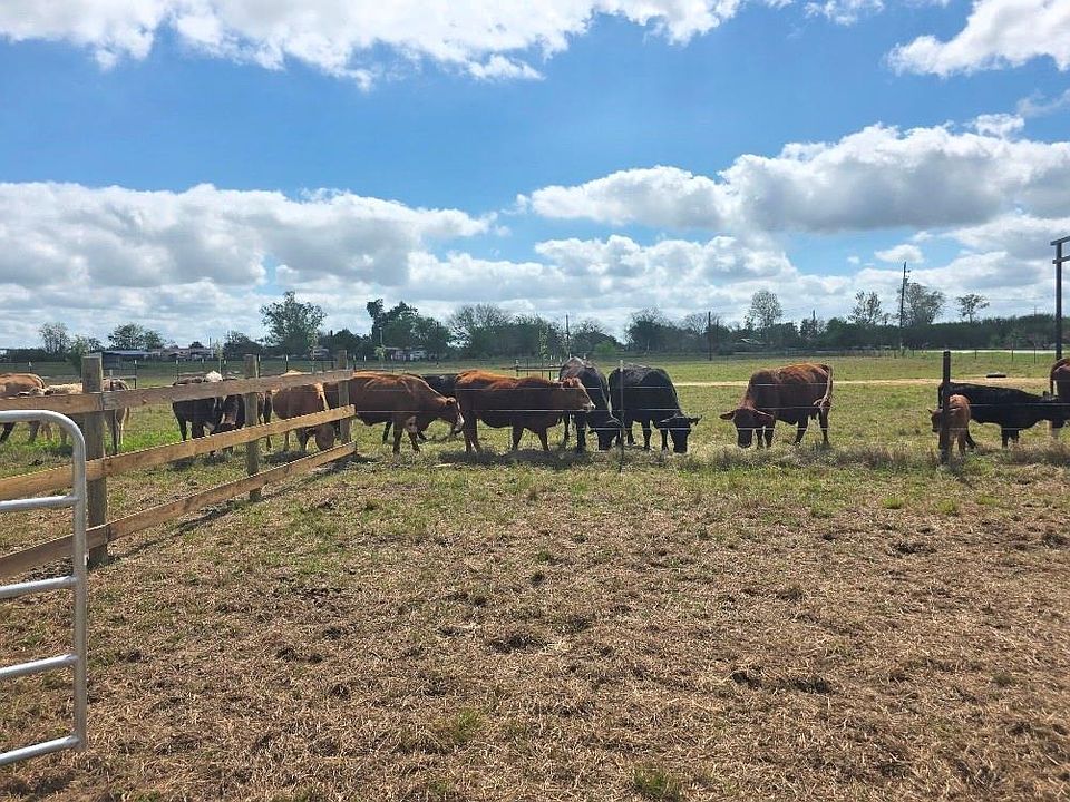 1st image of 816 Raccoon Bend Rd