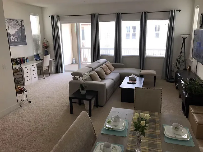 10 foot high ceiling. living, dining, study combo