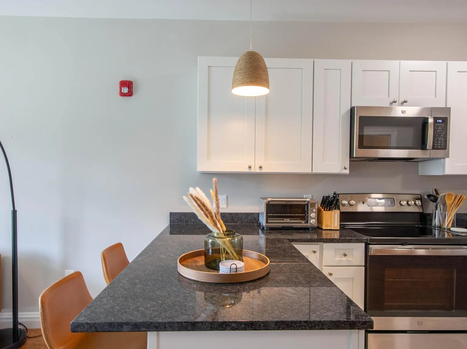 1 bed, 700 sqft, $3,500 — Photo 4