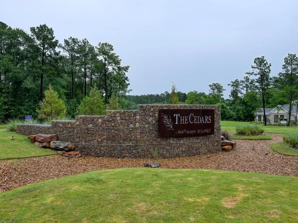 9726 Oakland Park Blvd Lot 11, Plantersville, TX 77363