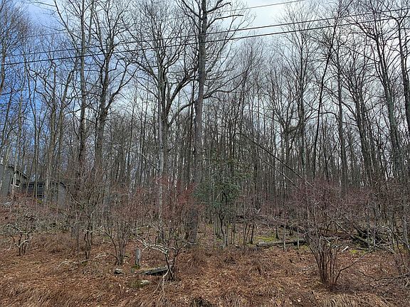4th image of 222 Fox Rd