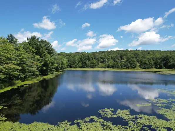 709 Scullton Rd, Rockwood, PA 15557