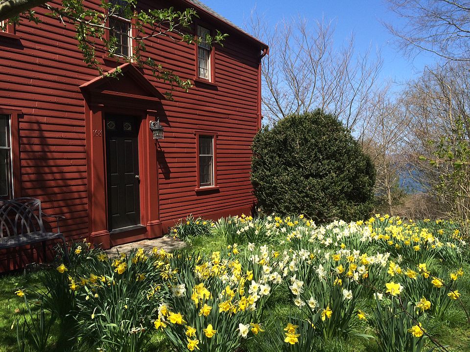 Entry courtyard with afodil