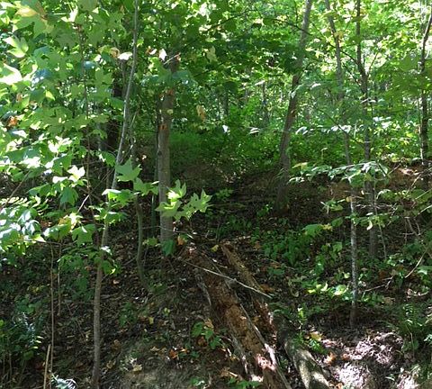 3rd image of Jackson Hills Dr