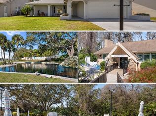 3948 Tarpon Pointe Cir, Palm Harbor, FL 34684