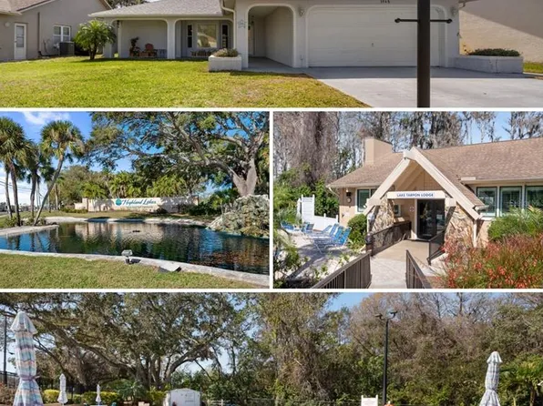 3948 Tarpon Pointe Cir, Palm Harbor, FL 34684