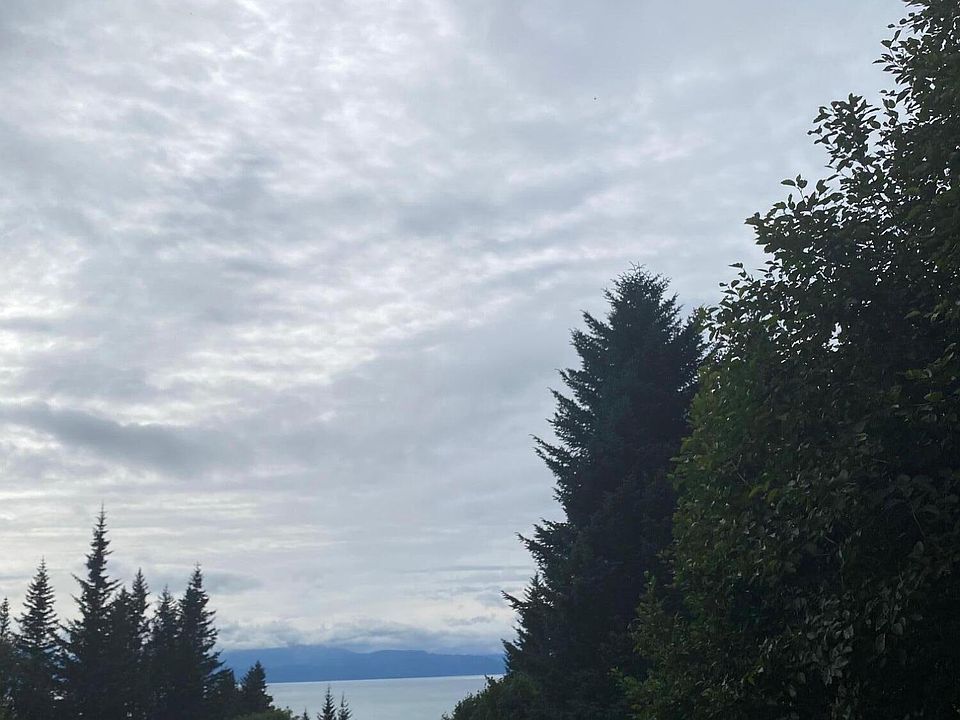1831 Coyote Way, Homer, AK 99603 MLS 235565 Zillow