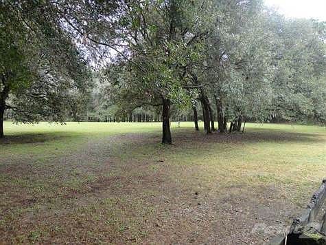 SCATTERED OAKS
