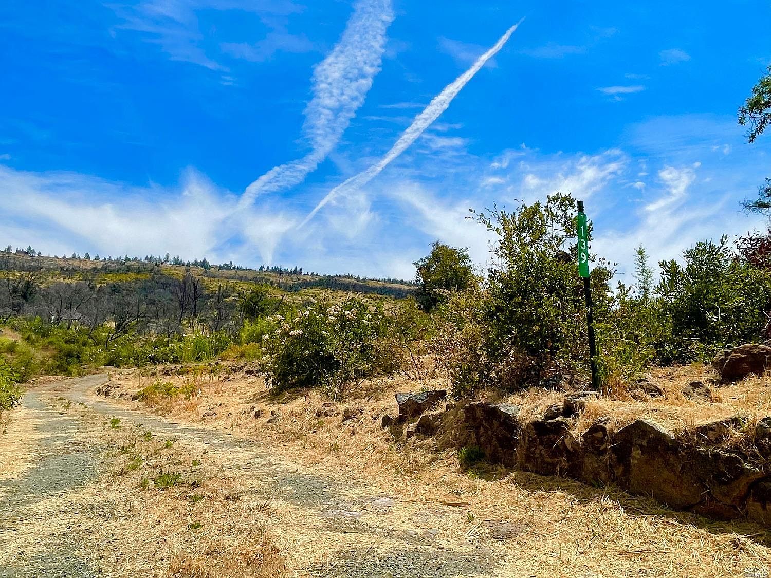 139 Oak St, Saint Helena, CA 94574 MLS 323043833 Zillow