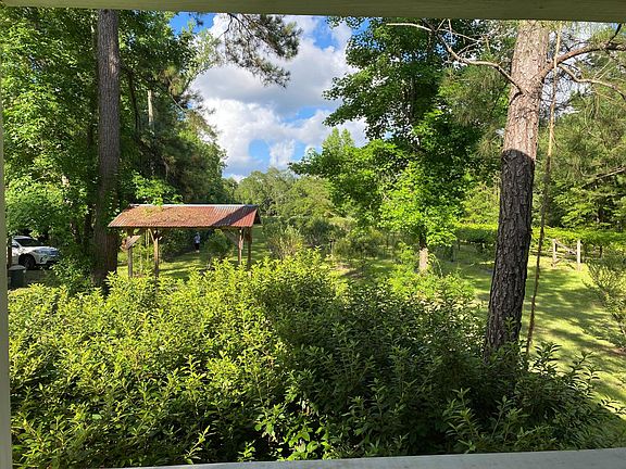 View of blueberry orchard from front porch
