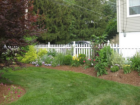 Back Garden