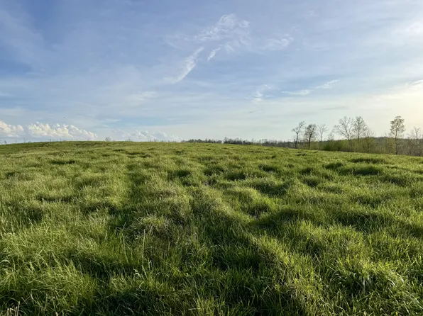 0 Brigham Branch Rd, Erin, TN 37061