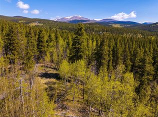 89 Ski Doo Rd, Fairplay, CO 80440