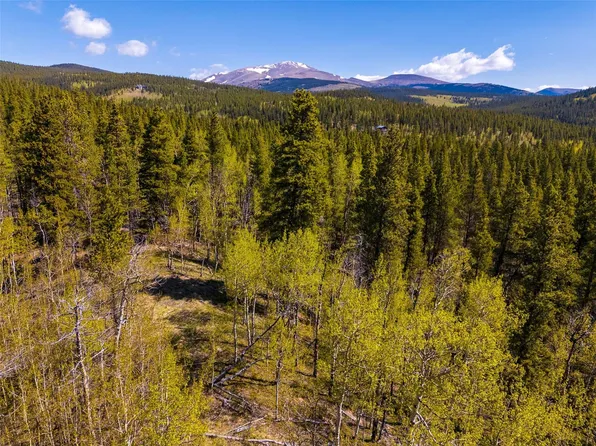 89 Ski Doo Rd, Fairplay, CO 80440