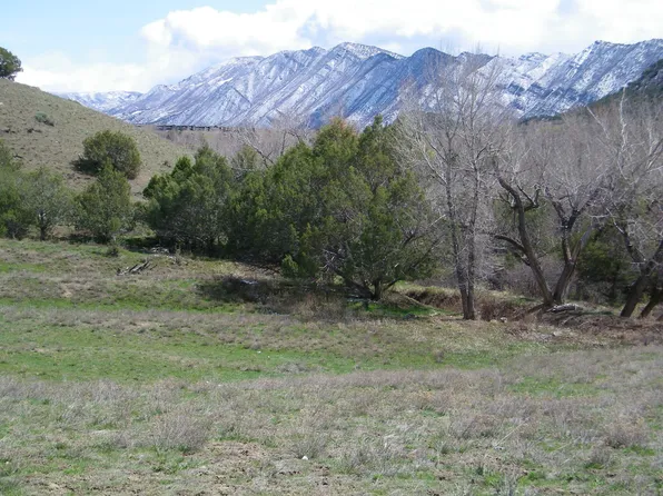 960 County Rd, New Castle, CO 81647