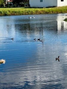 24383 Belize Ct #9, Punta Gorda, FL, 33955