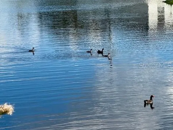 24383 Belize Ct #9, Punta Gorda, FL 33955