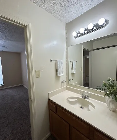 1806 S Brightside View Dr — Photo 4