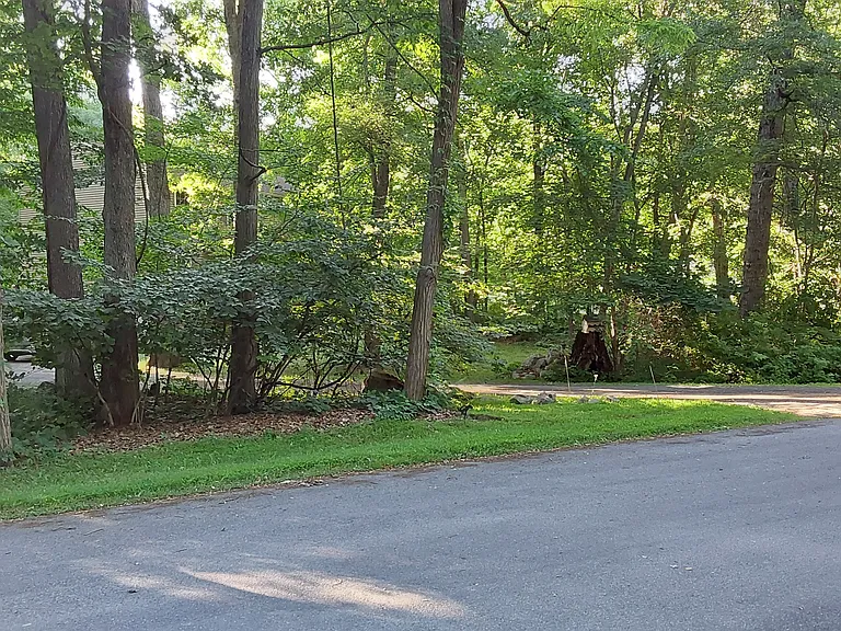 39 Country Pond Ln — Photo 58