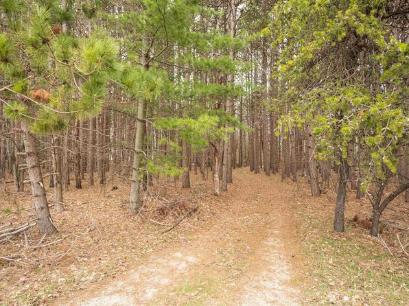V/l Ne Torch Lake Dr, Central Lake, MI 49622