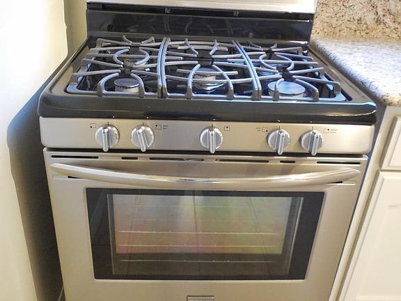 Professional range with convection oven