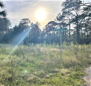 282 N Hourglass Ter, Crystal River, FL, 34429