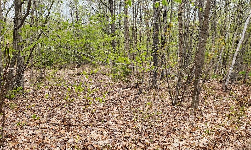 2nd image of Lot 019 Olivewood Circle