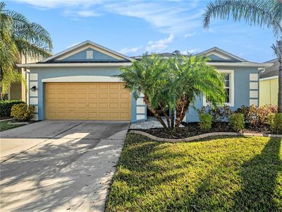13192 Royal Pines Ave, Riverview, FL, 33579