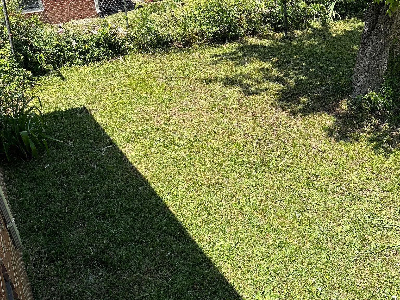 3 bed, 1112 sqft, $1,000 — Photo 2