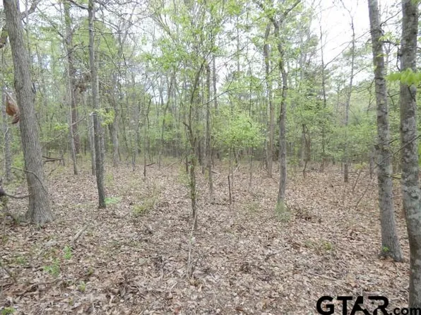 E Fm 323, Palestine, TX 75801