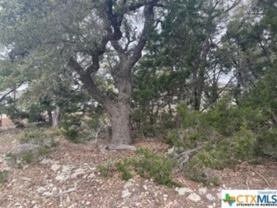 1246 Desiree St, Canyon Lake, TX, 78133