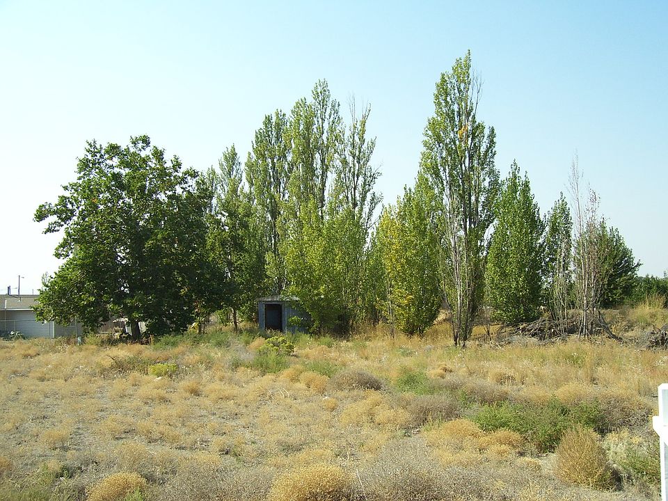 2nd image of Taylor Rd