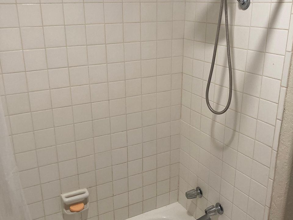 Main Shower and tub