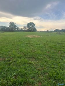 6097 County Road 1763, Arab, AL, 35016