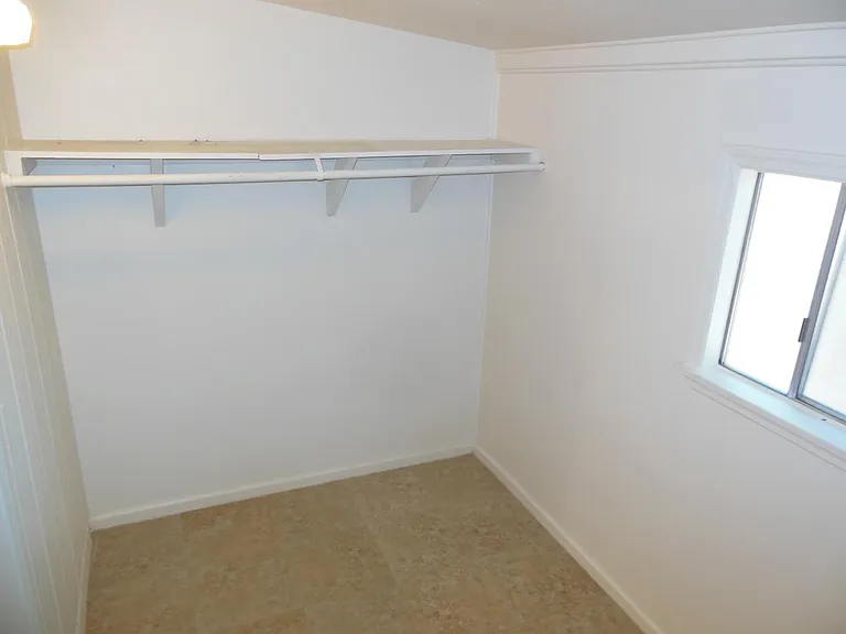 Palm Ave — Photo 5