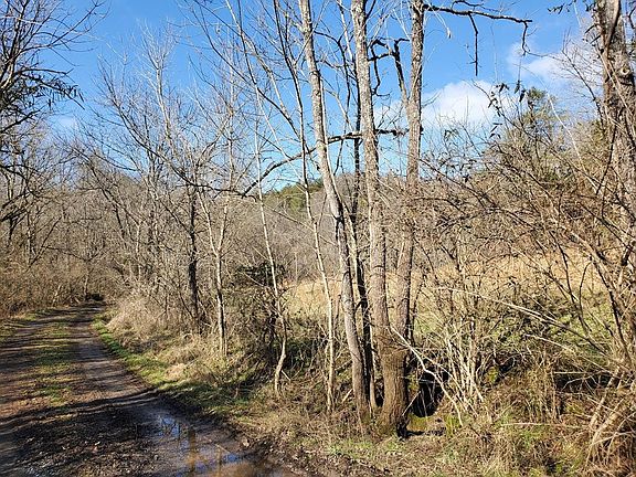 3rd image of 0 Leatherwood Rd #0