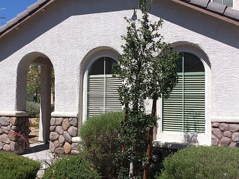 5667 Moccasin Point St — Photo 10