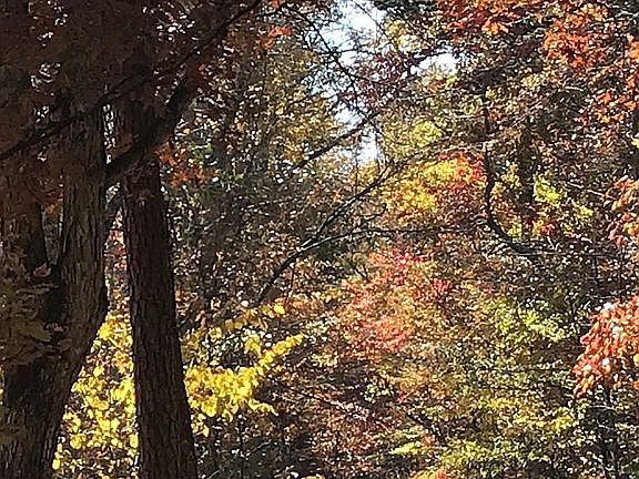 Deeded gravel road to proper