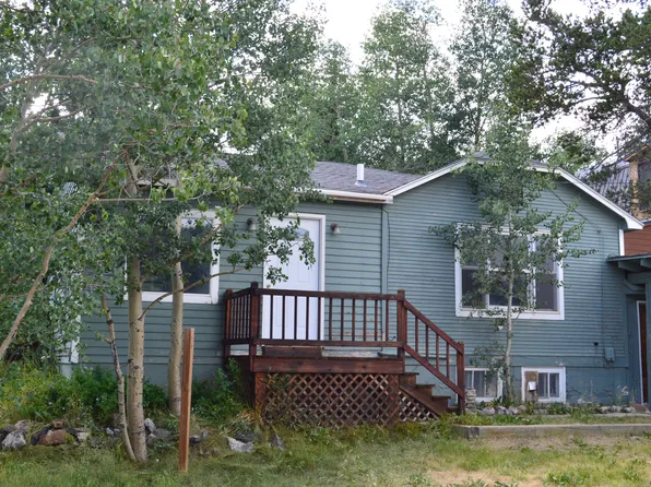 483 N Pine St, Alma, CO 80420
