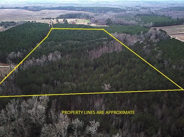 0 Raymond Rd, Orangeburg, SC 29118